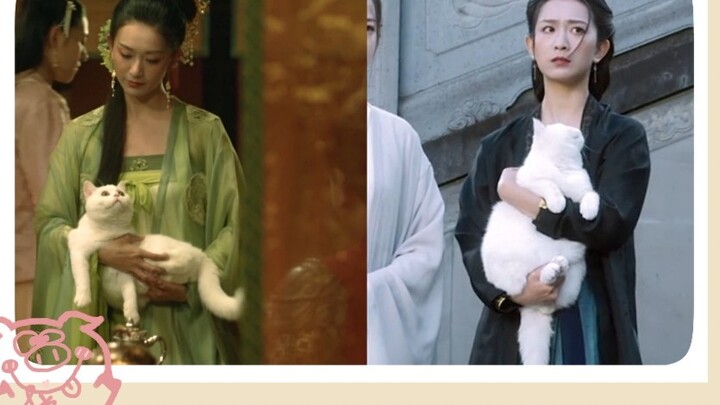 [Movies&TV]The Cat Gains Weight