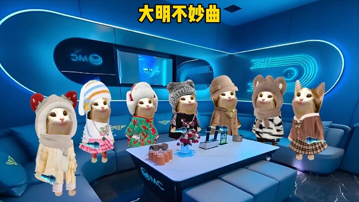 夹子大赛第三弹