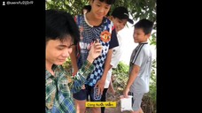 Nhìn hình đoán món ăn Việt Nam