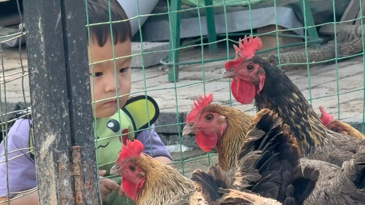 Bị cắn xong, ngứa ngáy đến phát rồ luôn～