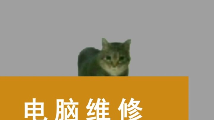 谢谢你，电脑城老板