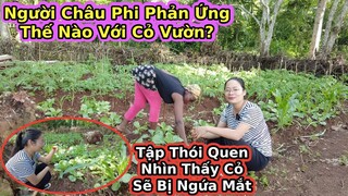 Tạo thói quen làm cỏ vườn cho gia đình Antonio||2Q Vlogs Cuộc Sống Châu Phi