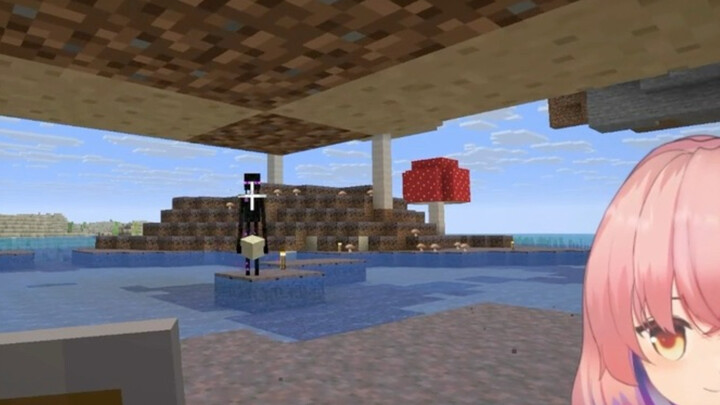 Bro has been imprisoned by an Enderman for ten thousand years ☠️
