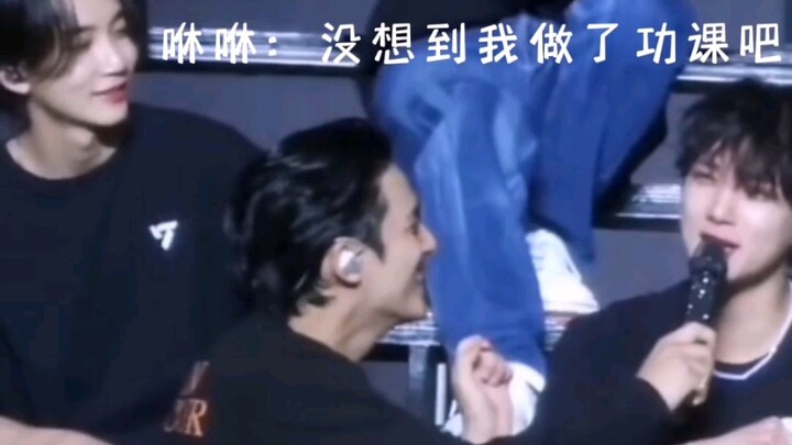 【洪知秀】【金珉奎】【Joshua】«凌白热»场：咻咻被狗勾“欺负”后续