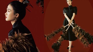 Gaya Cina baru dan kemoceng