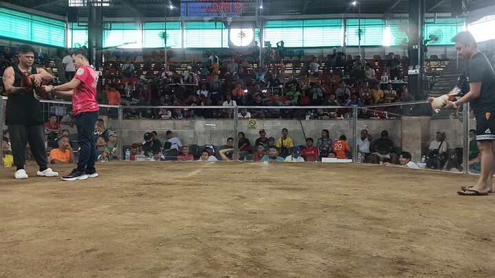 Caybiga arena super all-star