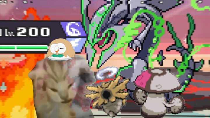 Cuộc phiêu lưu kỳ diệu của nấm khiên 🍄 Roguelike Pokémon 🍄