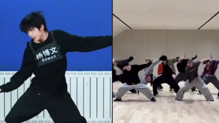 Dương Bác Văn gia tộc TF nhảy lại &TEAM "Go in blind" so sánh giả tạo cùng khung hình