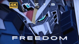 【高达/AMV】FREEDOM 飞升&强袭双自由同框，全新的最强最帅！