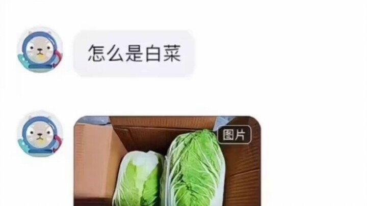 Bà con! Cô/chú có muốn mua cải trắng không?