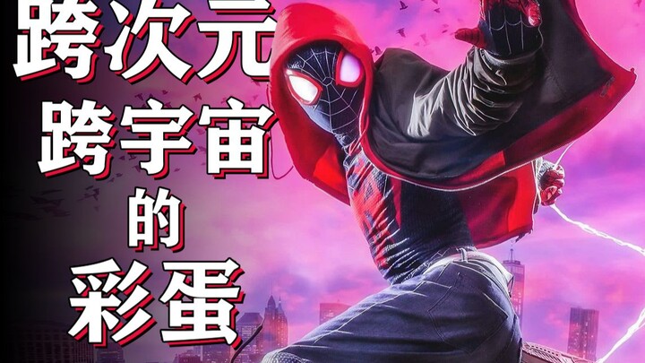 Spider-Man's Parallel Universe's Unexpected Intersection Easter Egg [Easter Egg Art Museum]