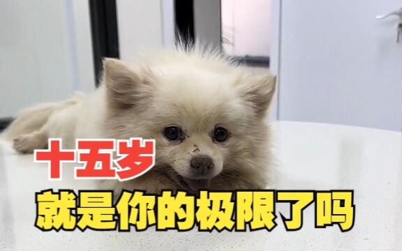 Người thầy đầu đời của em, em đã lớn rồi, còn thầy thì già đi. Phải chăng thầy sắp đi gặp ông nội rồ