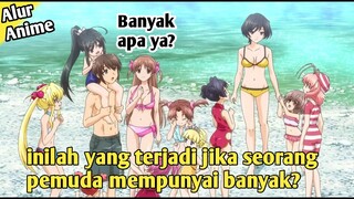 inilah yang terjadi jika seorang pemuda mempunyai banyak? -  Alur Cerita Anime Baby Princess