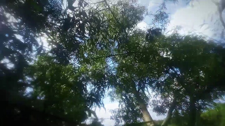 ঠিক আছে ওঠার পরে ভিডিও