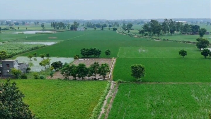 Village Drone View 🚁👀