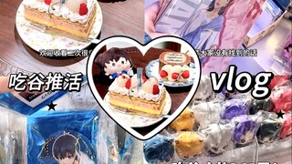 吃谷vlog｜提问视频中有几块小蛋糕？