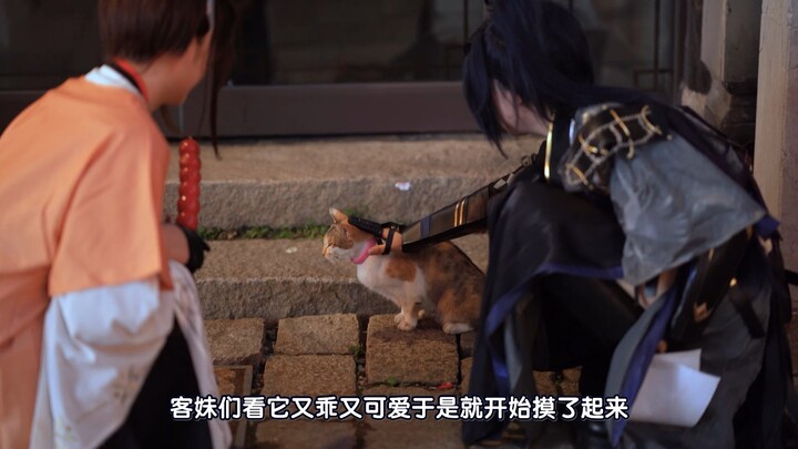 Kucing: Bukan... Dia sakit apa, ya? Fotografer: Aduh, aku memang pantas disalahkan [sujud] [sujud] [