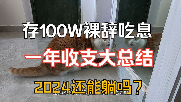 30岁硕士攒100w吃息退休挑战|一年收支大总结|2024还能继续吗？