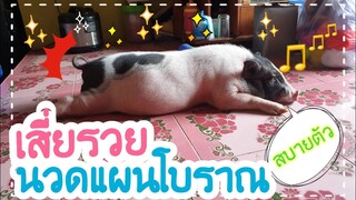 น้องรวยนวดแผนโบราณชีวิตนี้สบายกว่านี้ไม่มีอีกแล้ว🐖🥰😂😅🤣