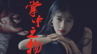 【永杰同欣】【掌中之物】朱星杰×虞书欣
