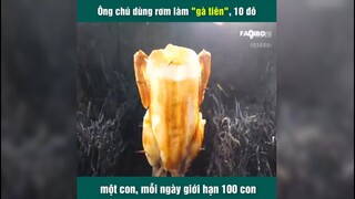 Ông chú dùng rơm làm "gà tiên", mỗi ngày chỉ bán giới hạn 100 con | LT Review