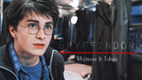 [Harry Potter] Kami berani & tak takut bahaya, kami adalah Gryffindor.
