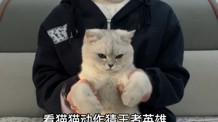 看动作猜两个王者英雄