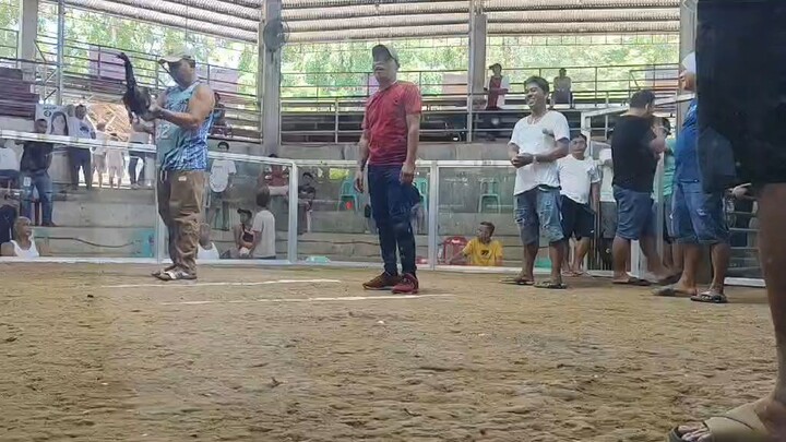 2ndfight win.                       #CANDIJAYARENA#3WINS