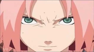 Sakura AMV - Survivor