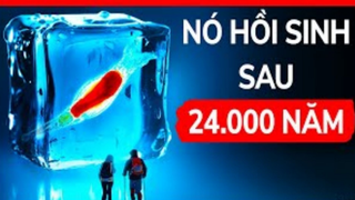 [Soi Sáng] - Sinh Vật Cổ Đại Hồi Sinh Sau Khi Bị Đóng Băng 24000 Năm