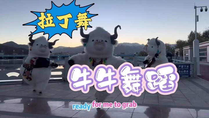 Tarian Niu Niu versi tari Latin hadir!!