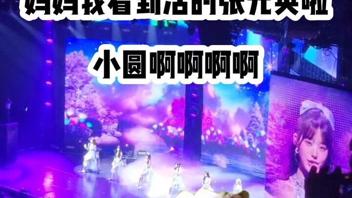 【Meme Kucing】Pergi ke Auckland nonton tur dunia IVE!