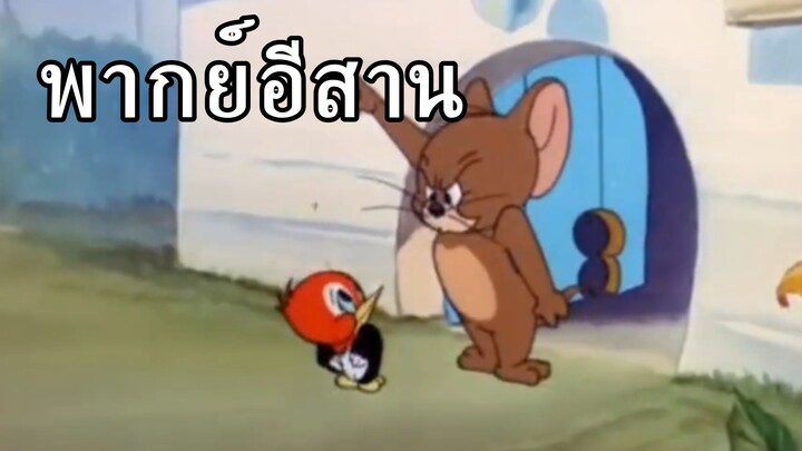 ทอมแอนด์เจอร์รี่ พากย์อีสาน ตอน สัตว์ปีกจอมปัญหา