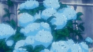 Blue Salvia - Pryvyt (Lyrics)