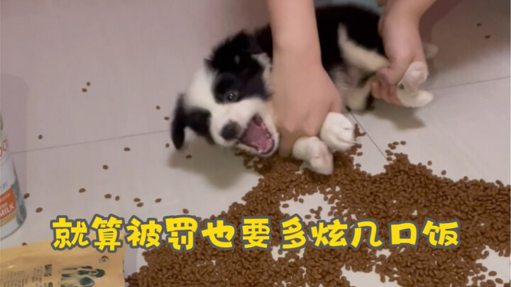 ما تسببت به من مشكلة، عليك أنت أن تصلحه بنفسك.