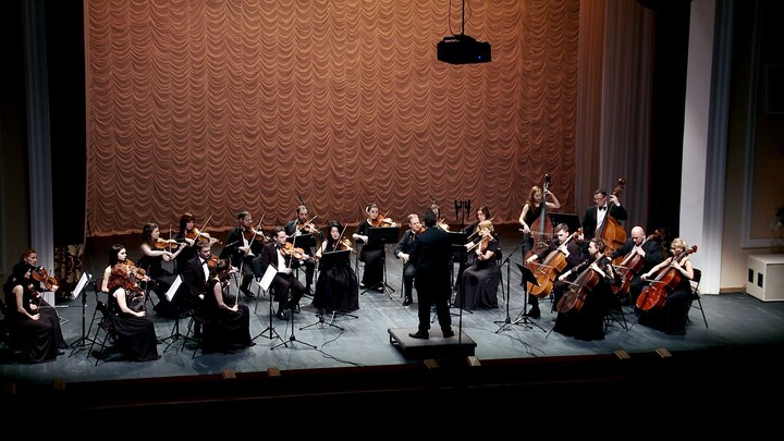 Antonín Dvořák - Serenade for strings in E major - V movement