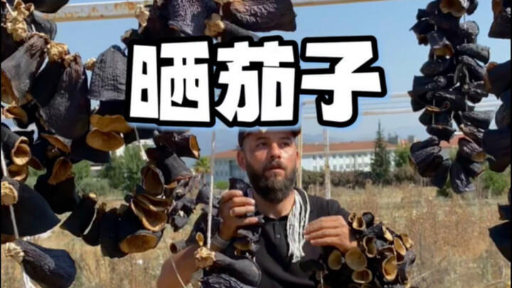 土耳其人居然把茄子晒成这样？吃法太特别了！