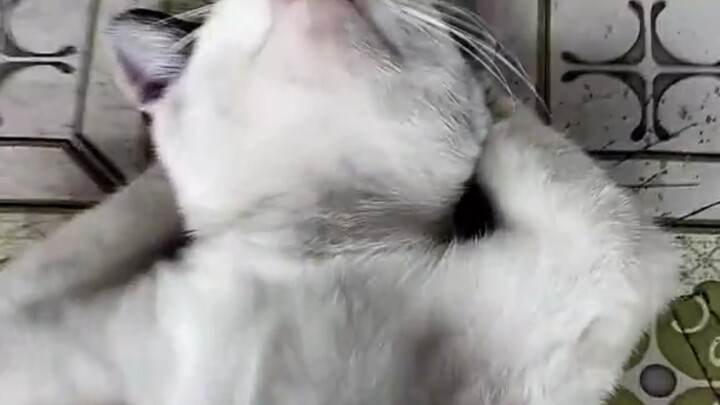 Sleeping so beautifully