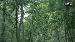 บุกไปลากตัว… ต้นตอเหตุประหลาด | ซีนเด็ด ผาแดงนางไอ่ Ep.11