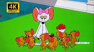 Plastic surgery failed - Tom and Jerry Sichuan dialect.P120 [4K restoration]