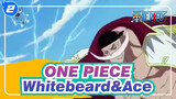 [ONE PIECE] Exciting Scenes Of Whitebeard Saving Ace_2