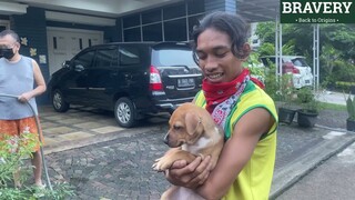 Anjing nakal PABLO MASUK RUMAH TENGGA AMBIL MAKANAN KUCING !!!