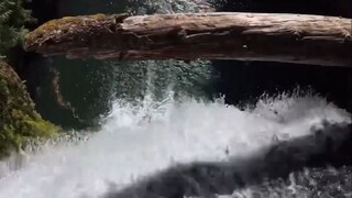 红牛：只要你敢玩，我就敢赞助！！