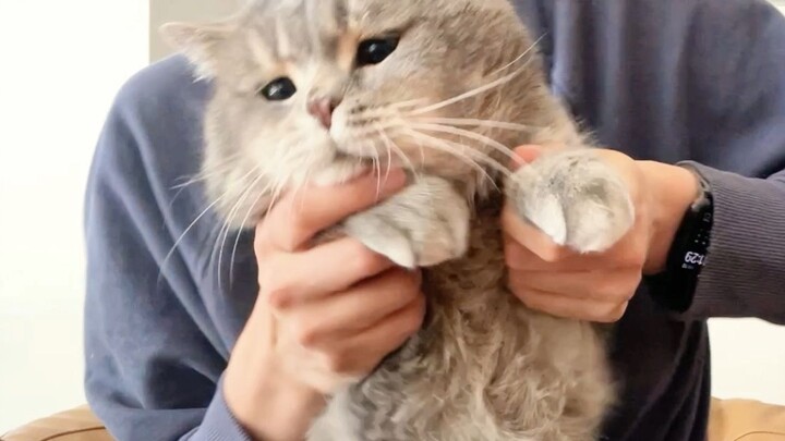 I can’t handle the freeze-dried challenge at all.