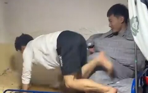 Where are the cockroaches?