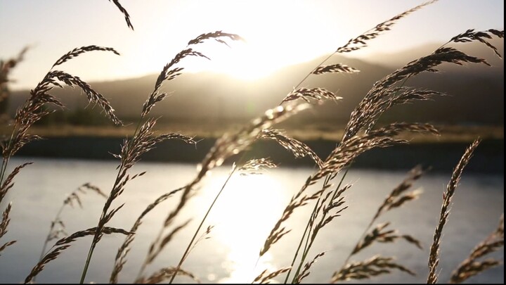 The beauty of nature