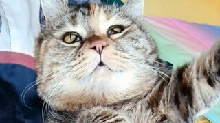 天冷就该融化在麻麻怀中