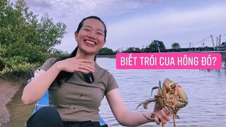 Ánh Kua đặt lợp bắt Cua kiếm tiền về lại Sài Gòn