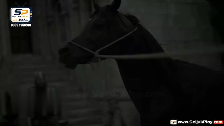 سلطان مهمت فاتح کی نئ ټریلر  آیډی فالوکئ نوی ده مننه
