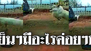 วิธีการที่ฉันได้เรียนรู้เกี่ยวกับมัน